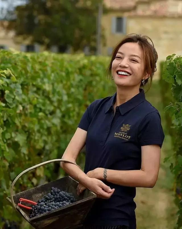 赵薇的法国酒庄现在啥样,赵薇法国酒庄