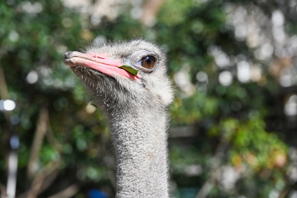 拍人和景的相机推荐尼康,新手拍夕阳入门尼康相机推荐