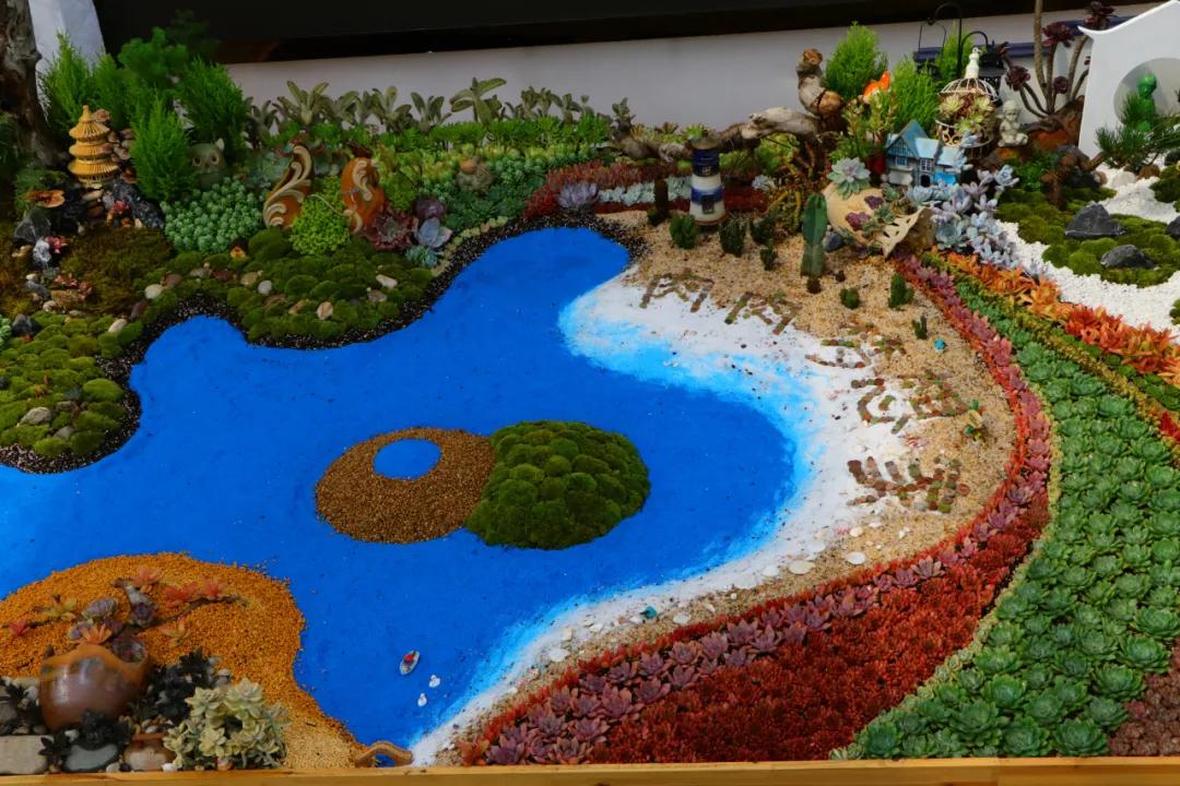 这个年销量上亿株多肉的县城，举办了首届多肉电商节