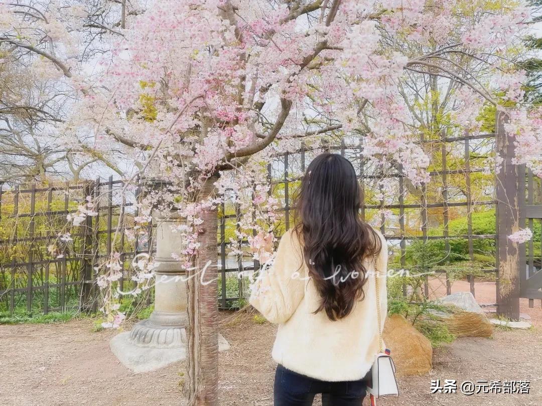 芝加哥周边小城旅游攻略,芝加哥旅游路线地图