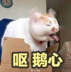 坚持抗氧化会变白吗,坚持20天抗氧真的能变白吗