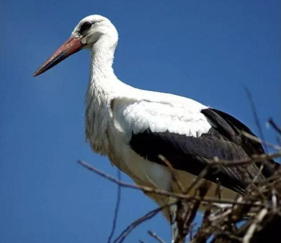 18年感人的爱情故事视频,18年的爱情故事