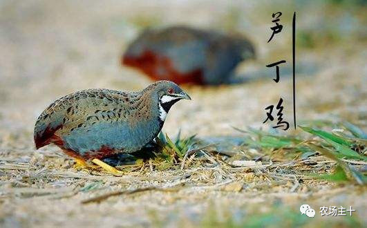 从乞丐到身价200万仅用一年时间,从乞讨到名相的传奇人生