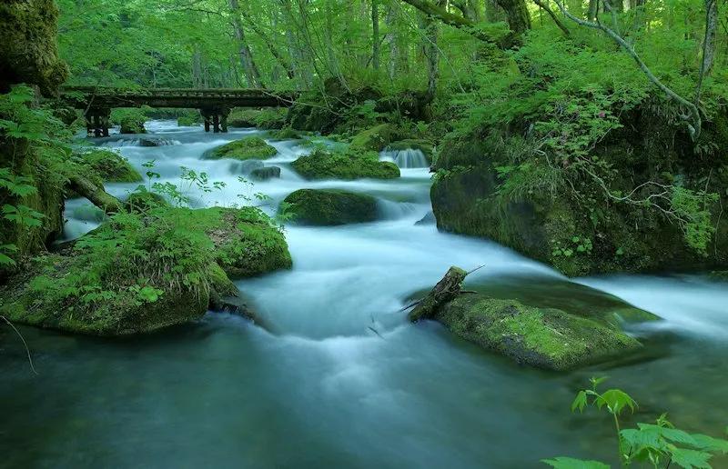 全部的成语收藏起来回家教给孩子,如何和孩子一起积累成语