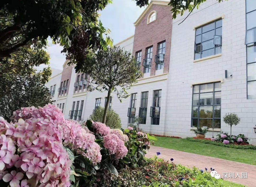 深圳高端幼儿园是哪些,深圳光明高端幼儿园