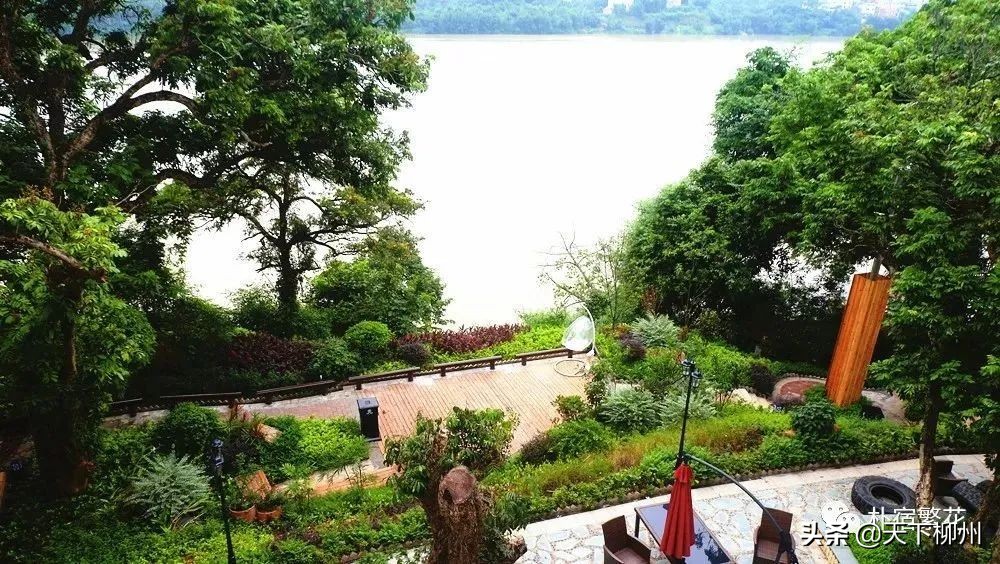 一支给予幸福守护健康的球队#朴宿·繁花#