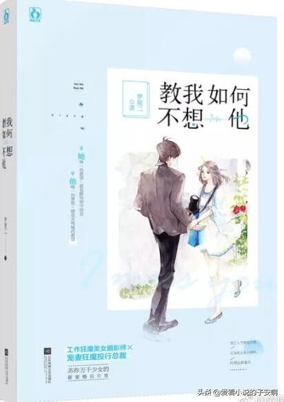 先婚后爱现言小说合集|斯人若彩虹，遇上方知有