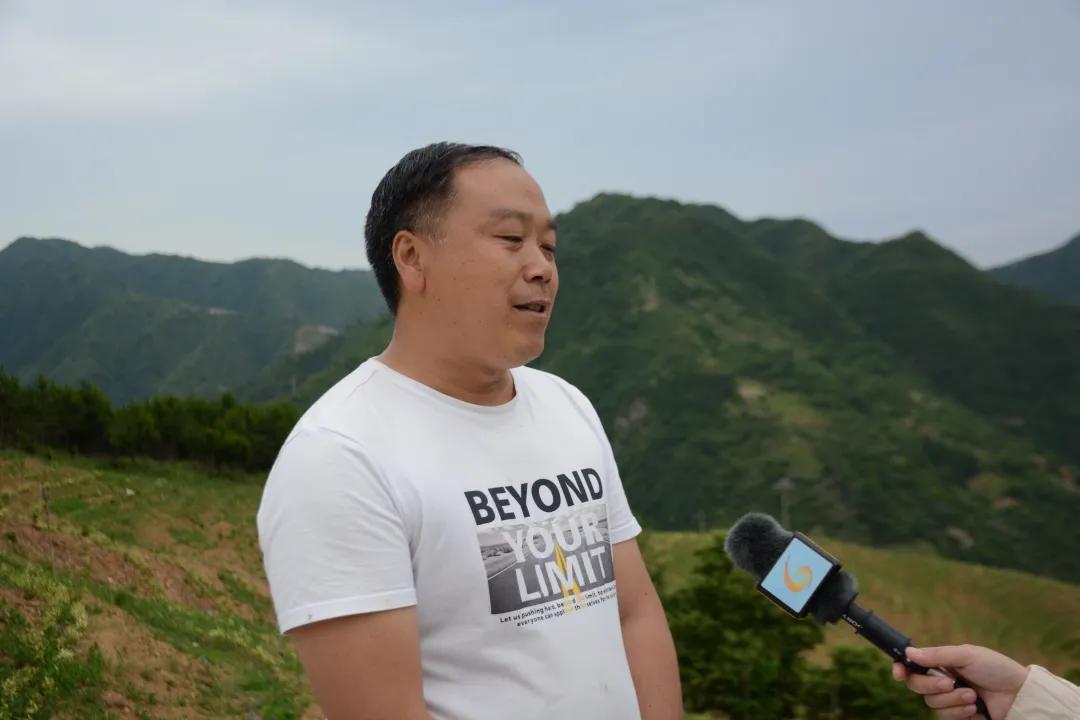 同心奔小康·柞水行|“山茶娃”凝聚浓浓“山海情”