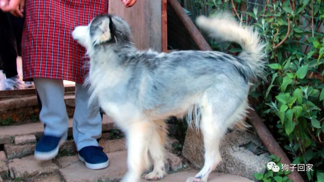 每一个生命都需要被尊重和善待,每一个生命都要被尊重被温暖