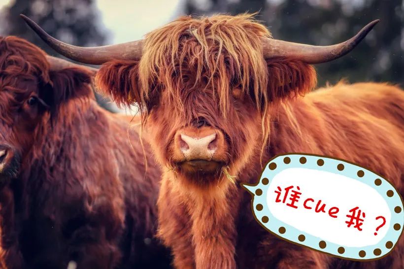 珠峰的感人故事,中国移动5g登顶珠峰对我们的影响