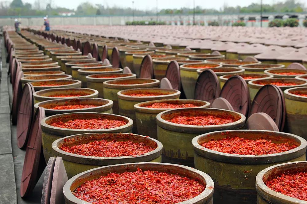 家乡特产有哪些好吃的,有什么家乡的特产