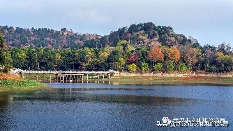 武汉市人的福利,武汉市发放105万张文旅惠民券