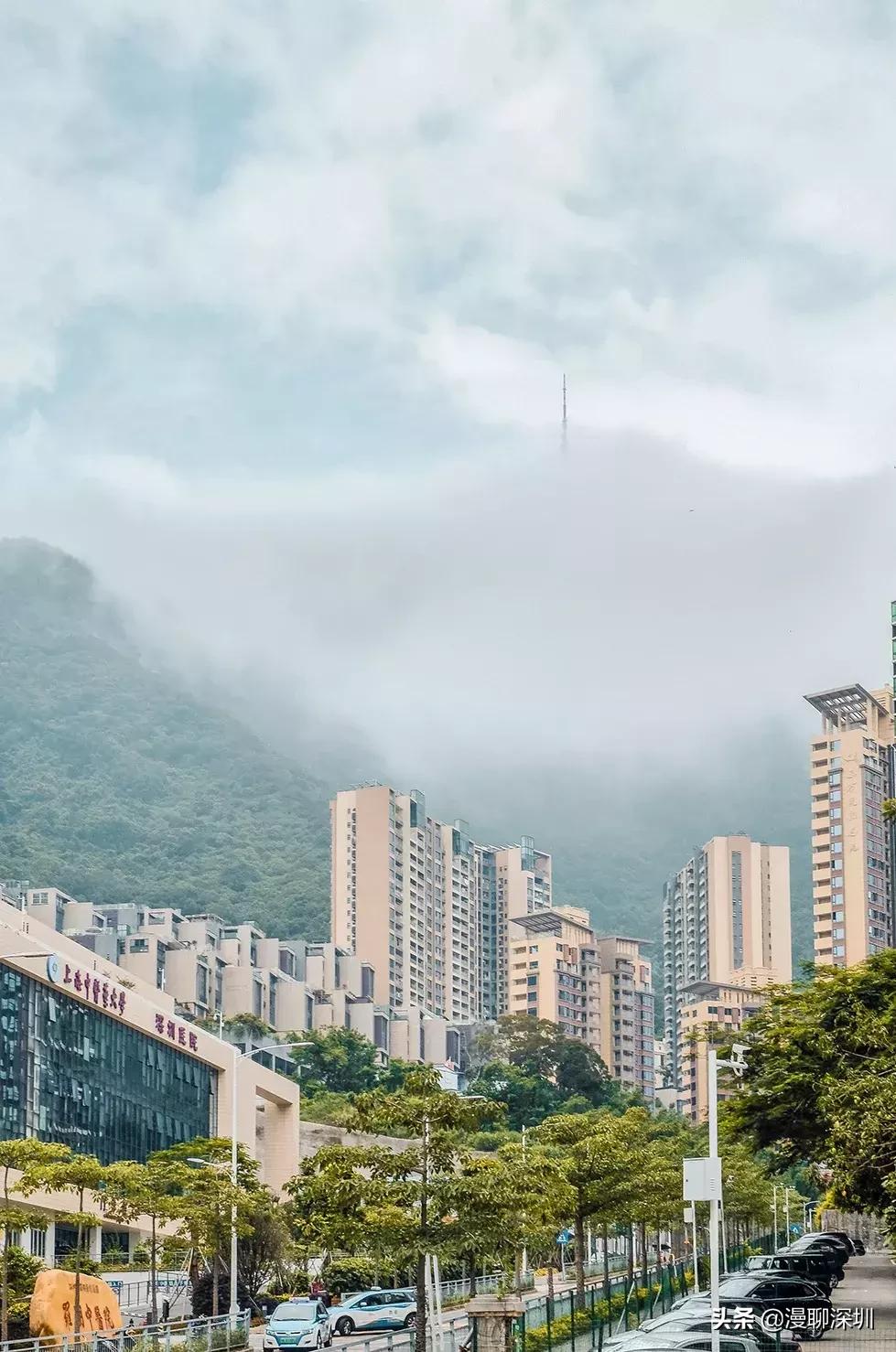 深圳空气中氡含量全国第一,深圳市负氧离子大概是多少