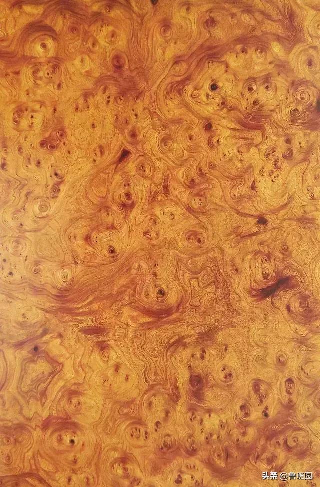 装饰材料木皮有哪些,装饰木皮有哪几种