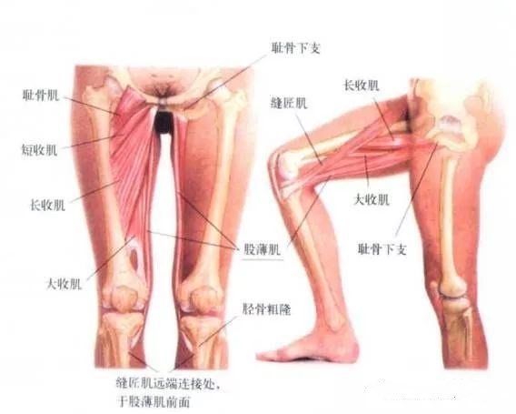 手法与针灸配合治疗慢性盆腔炎效果更好