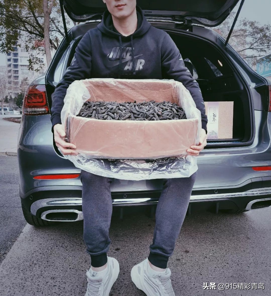 中国最好的海刺海参,黄金刺参西沙群岛深海纯野生海参