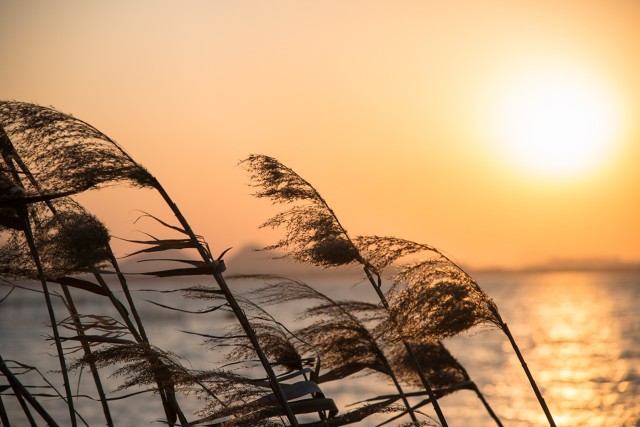 远嫁的我被家暴了怎么办,为什么远嫁的女孩儿容易被家暴