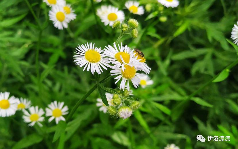 感谢辅导员对孩子的精心付出,孩子感恩遇到你的教练