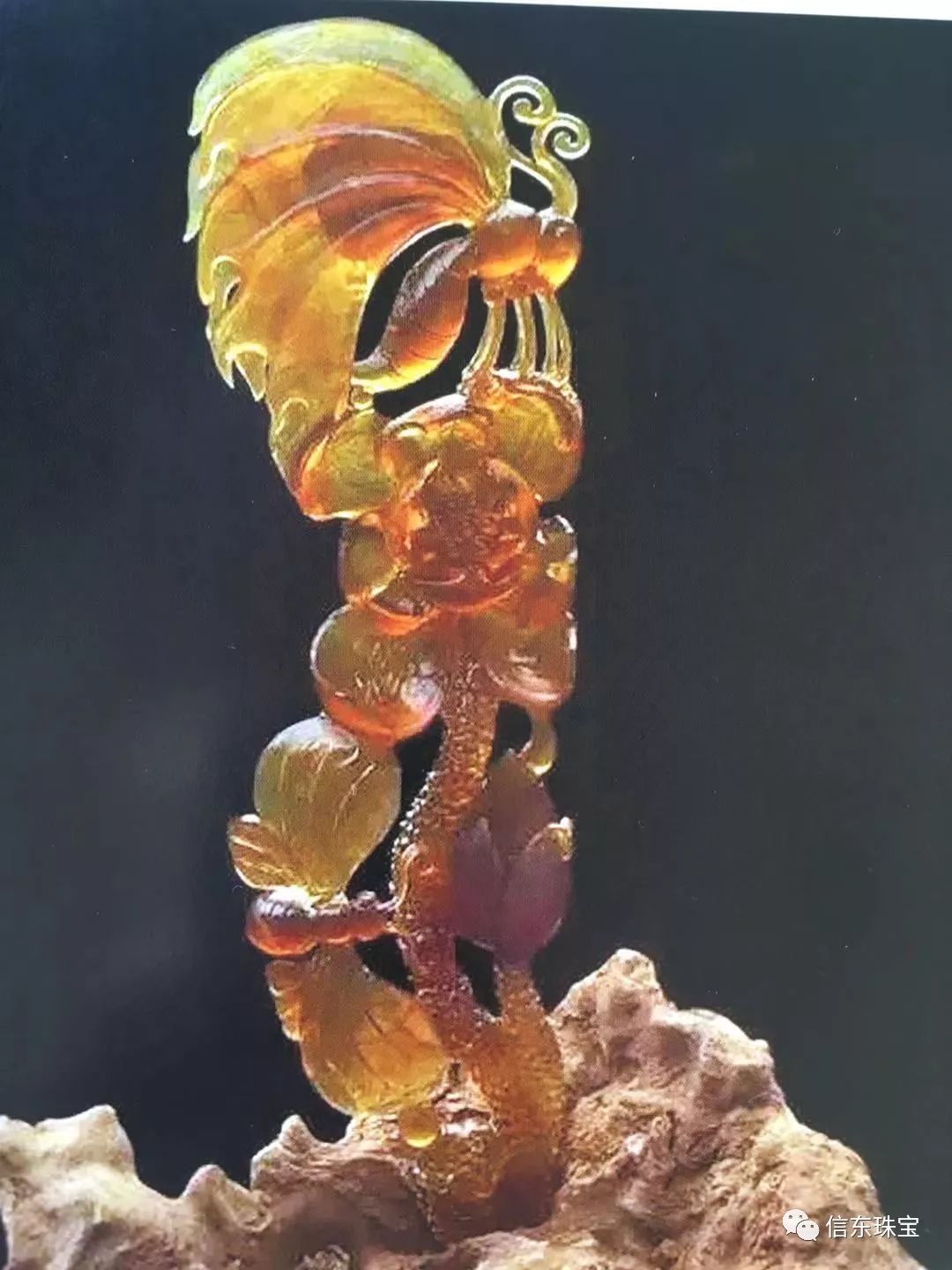 第一节是什么节,什么是琥珀呢