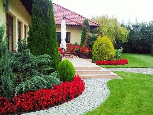 小面积庭院景观,庭院微地形绿化效果图