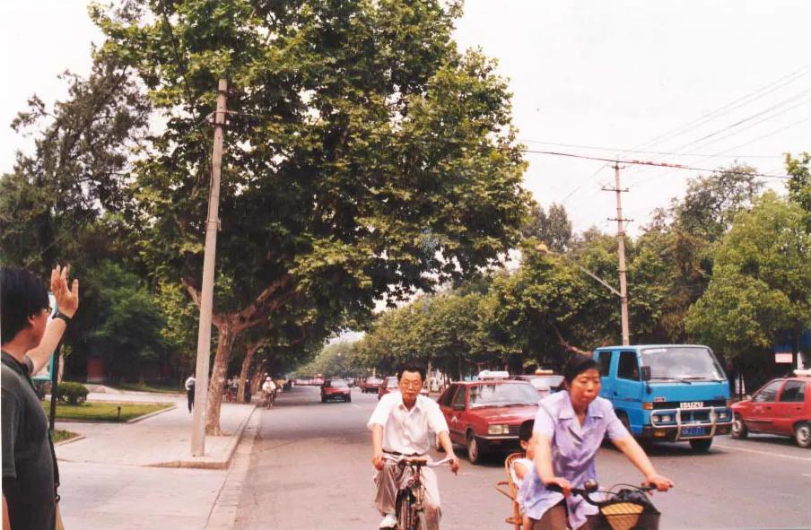 合肥市政务区的天鹅湖介绍,合肥天鹅湖设计