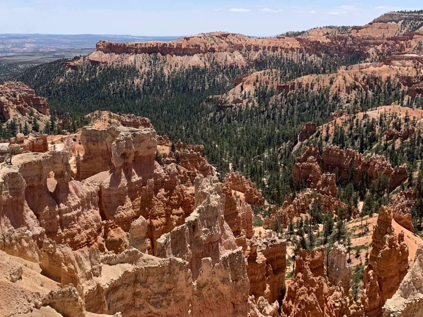 古诗词最好一句让人意难平的名句,诗词中难以启齿的19个字