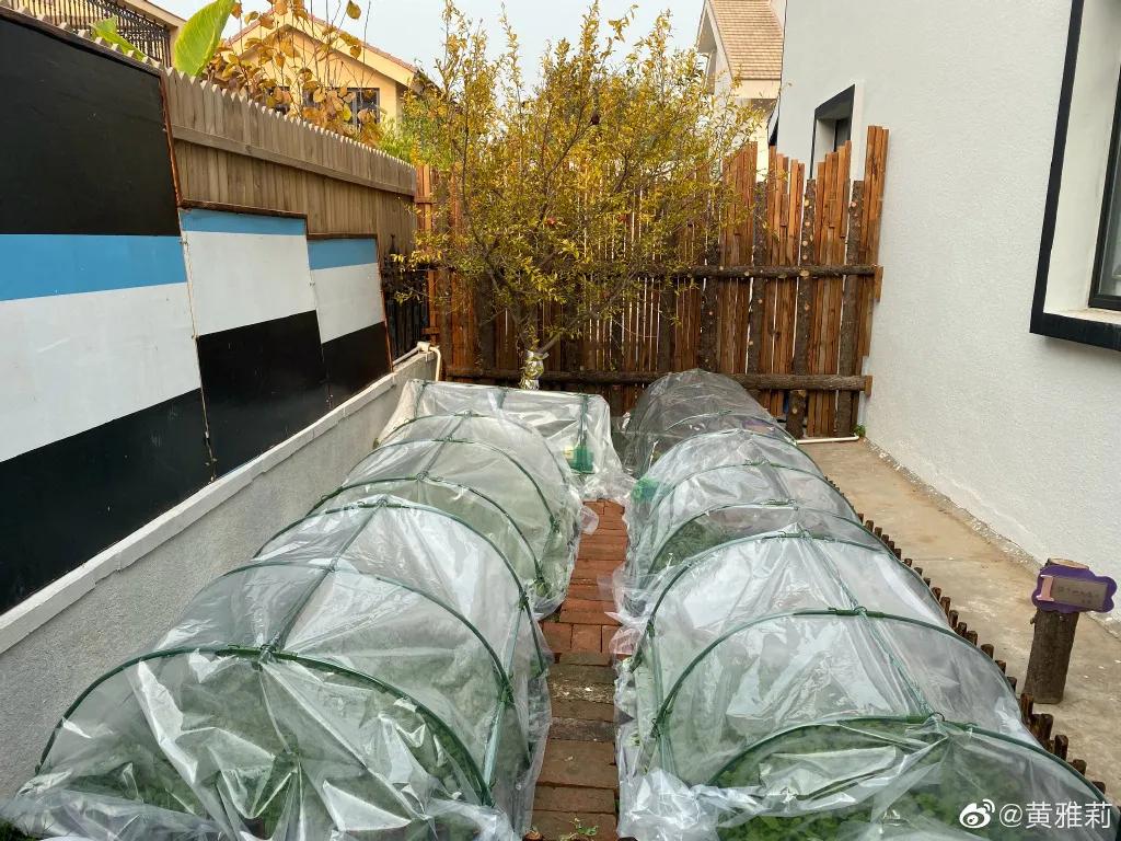 李子柒的家乡视频在哪里,李子柒真实的乡村生活