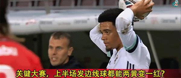 欧世预赛北爱尔兰对芬兰,世预赛欧洲区爱尔兰vs法国