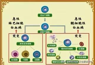 淋巴结突然摸到肿大是淋巴瘤吗,只有一个淋巴结肿大是淋巴瘤吗