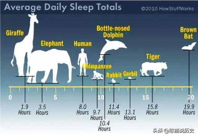 无脚鸟古人,无脚鸟世界上有什么鸟