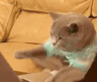 不用做系统就能使电脑恢复如初,无需激活一键系统重装