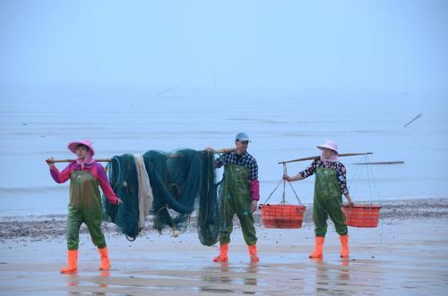日照绿茶价格表,日照有什么好玩的地方