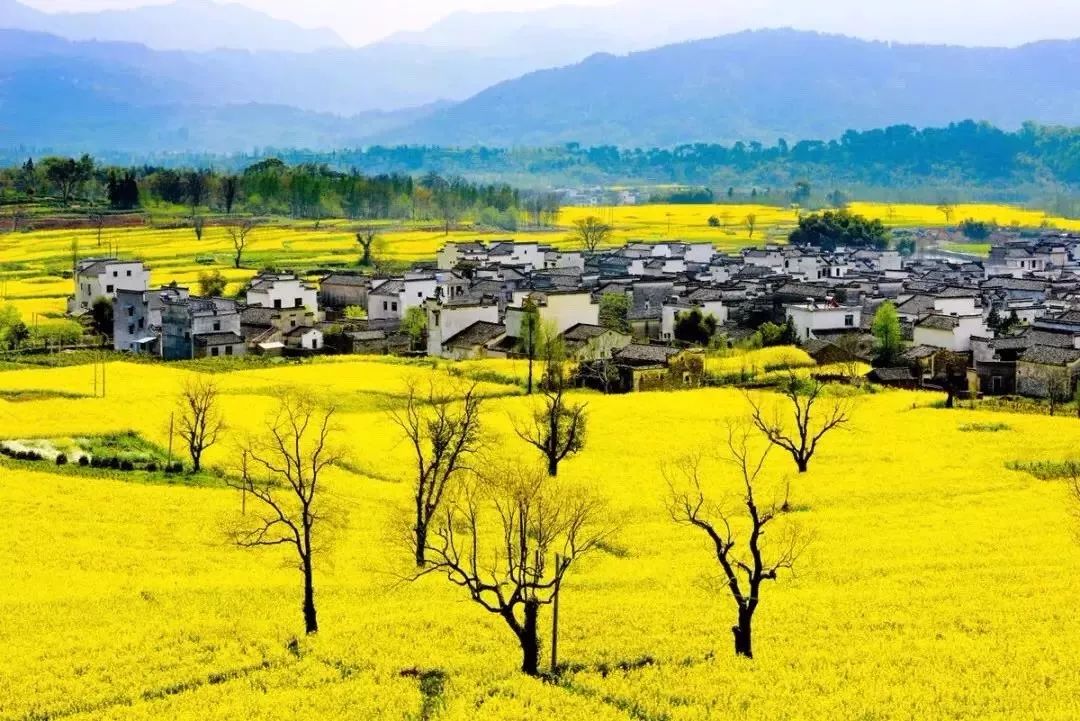 安徽宏村古镇里民宿,黄山旅游宏村民宿推荐