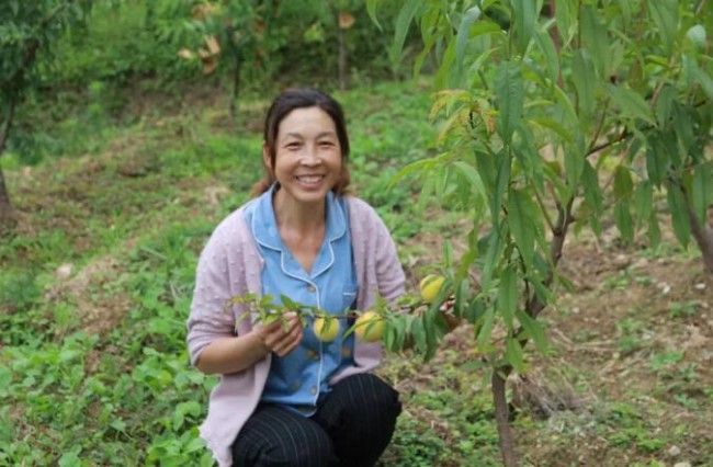 塞上桃园里的爱与希望