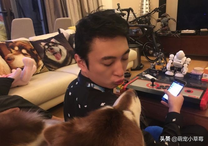 全球六大最好看男明星,盘点各明星养什么狗