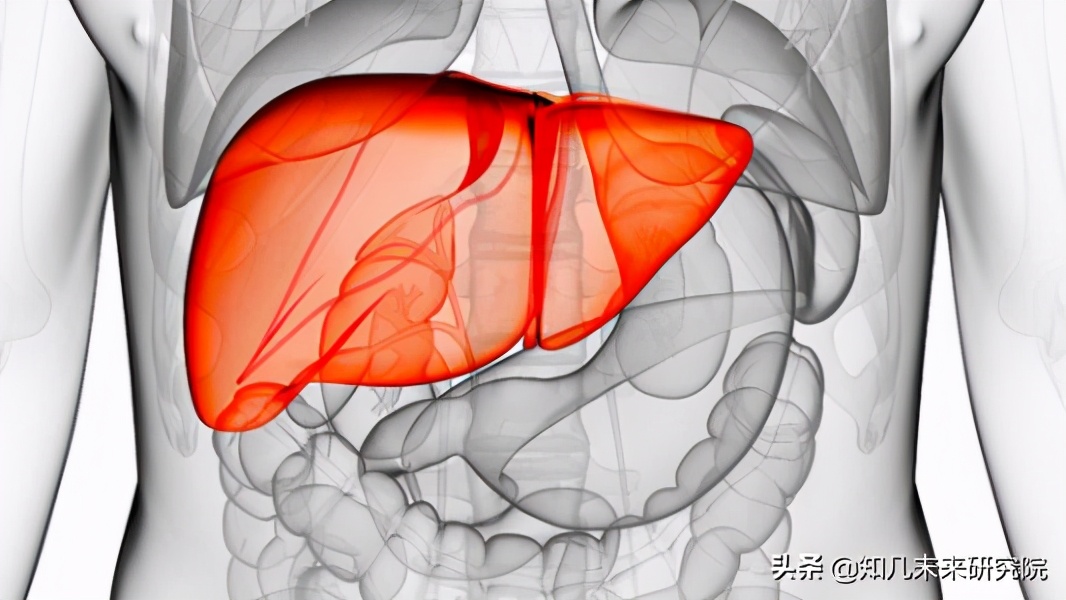 益生菌解酒是真的吗,益生菌有助于解酒吗