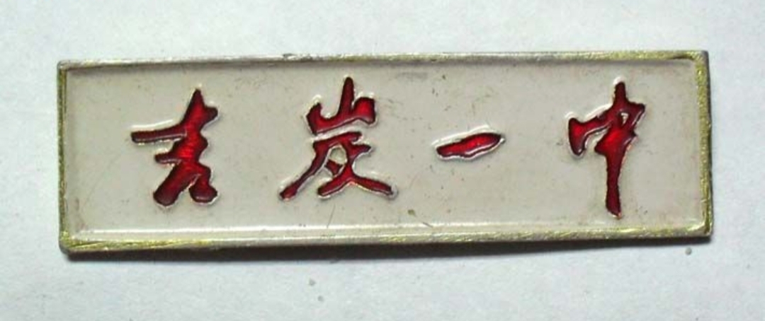 吉林炭素厂老照片,吉林炭素厂家