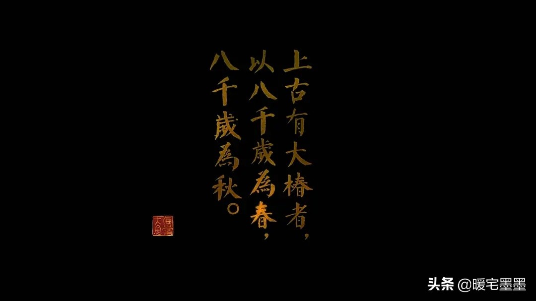 大鱼海棠真正的解读,大鱼海棠剧情到底好不好