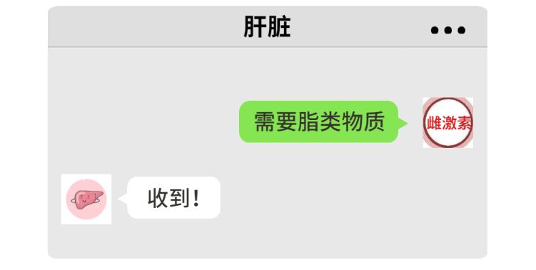 蛋鸡脂肪肝综合征的防治,蛋鸡脂肪肝氯化胆碱正确使用方法