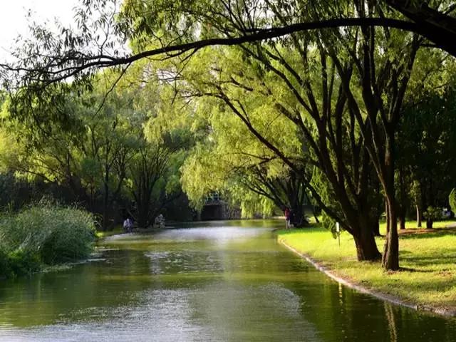 中国最美县城云南有几个,中国最美的100个地方云南