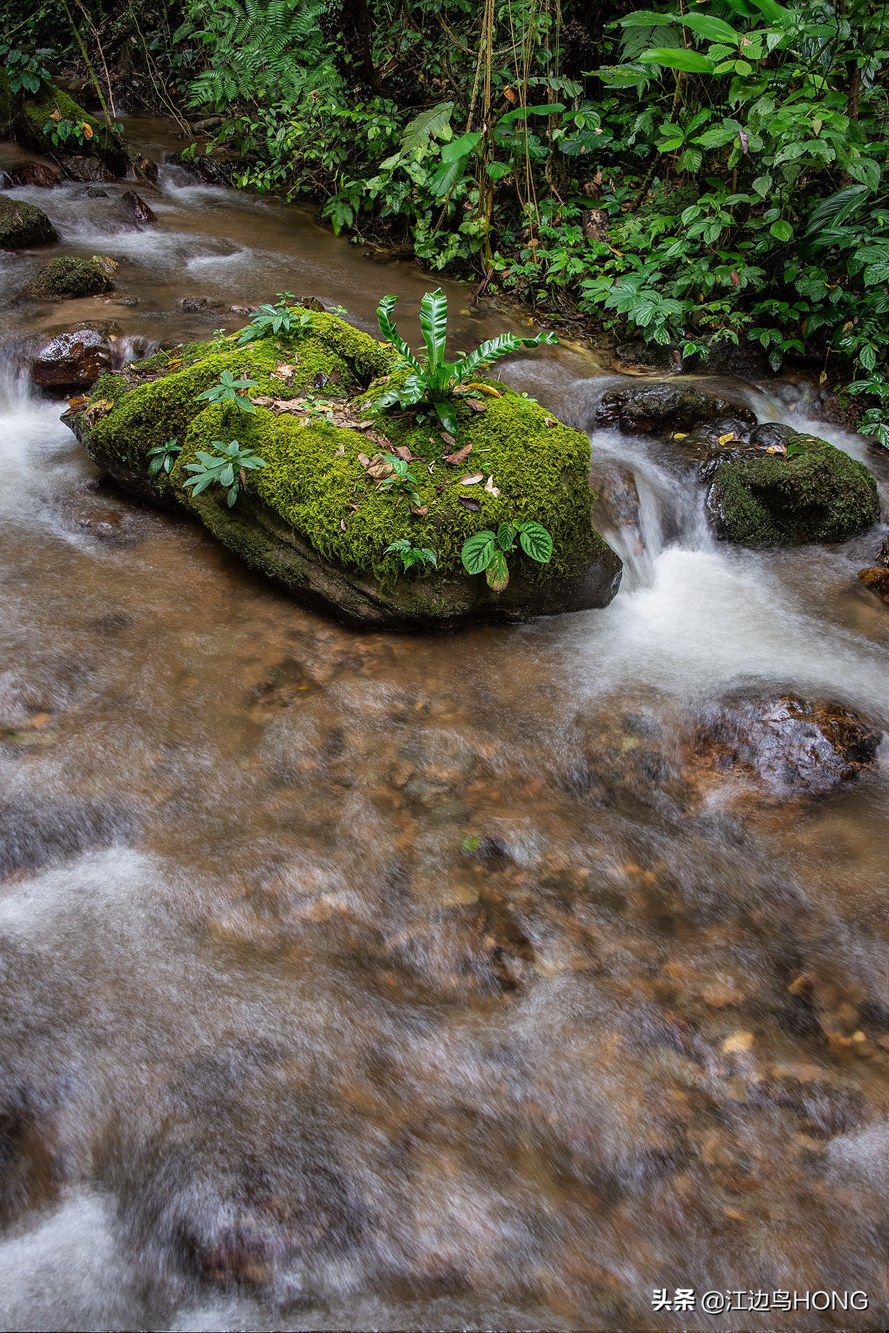 溪水潺潺心旷神怡,美景溪水潺潺