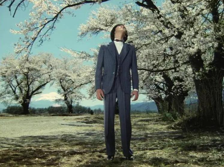 承认吧，看不懂它，真不丢人