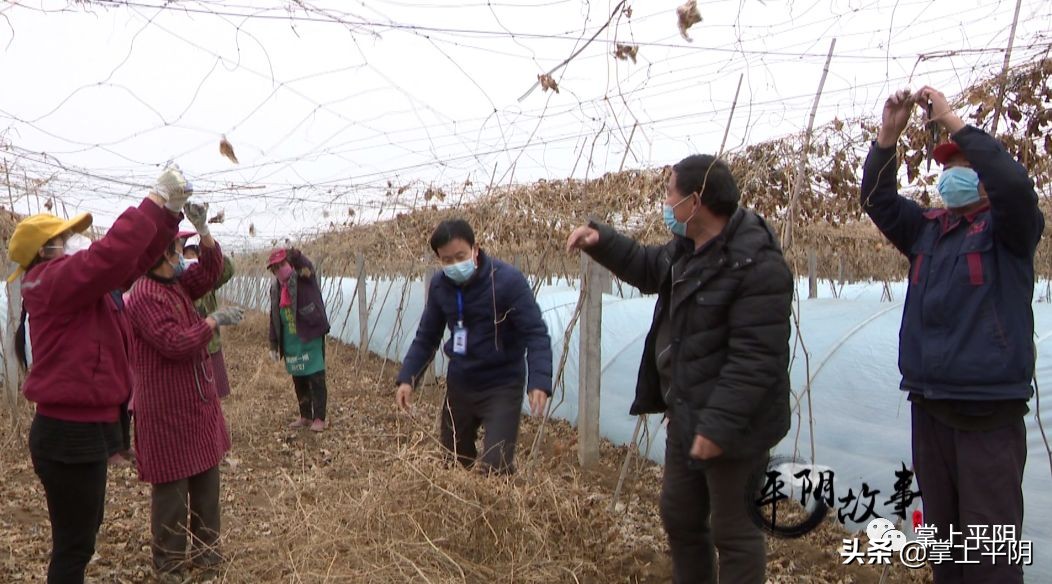 平阴县各村第一书记,平阴县第一书记