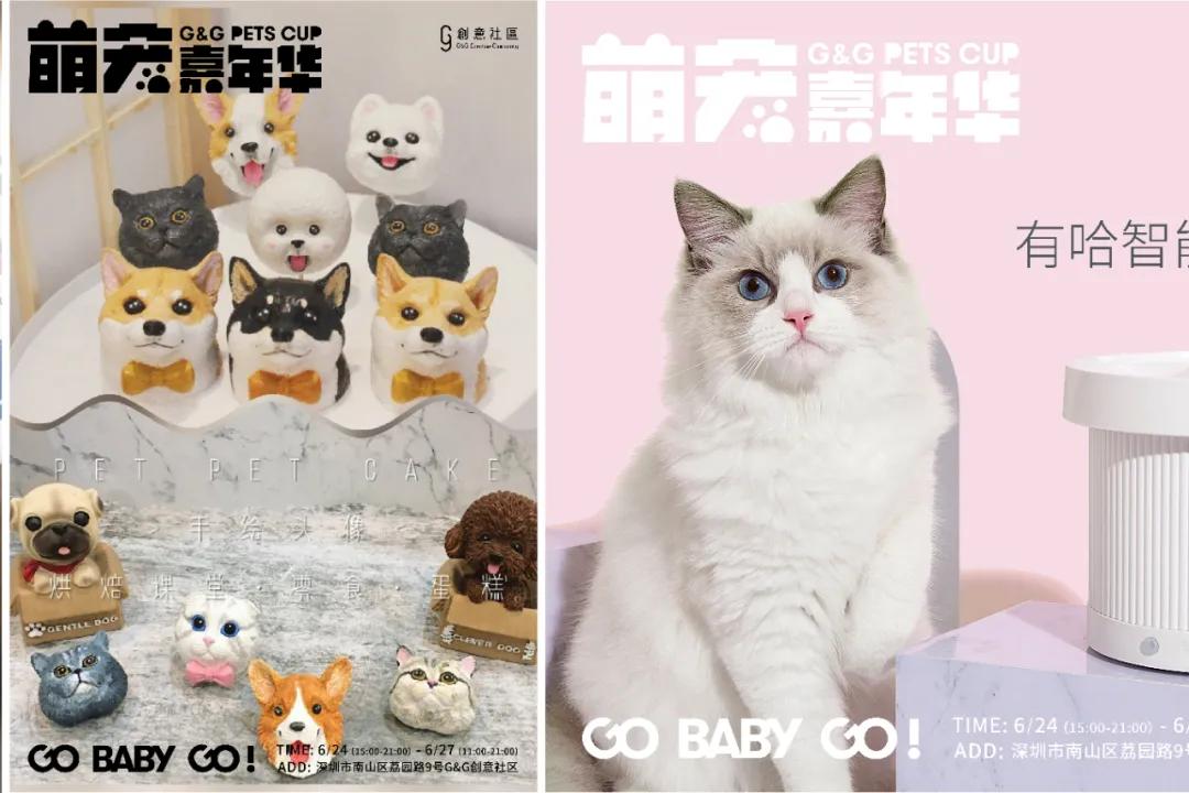 爱宠大作战纪录片,爱宠大作战一口气看完