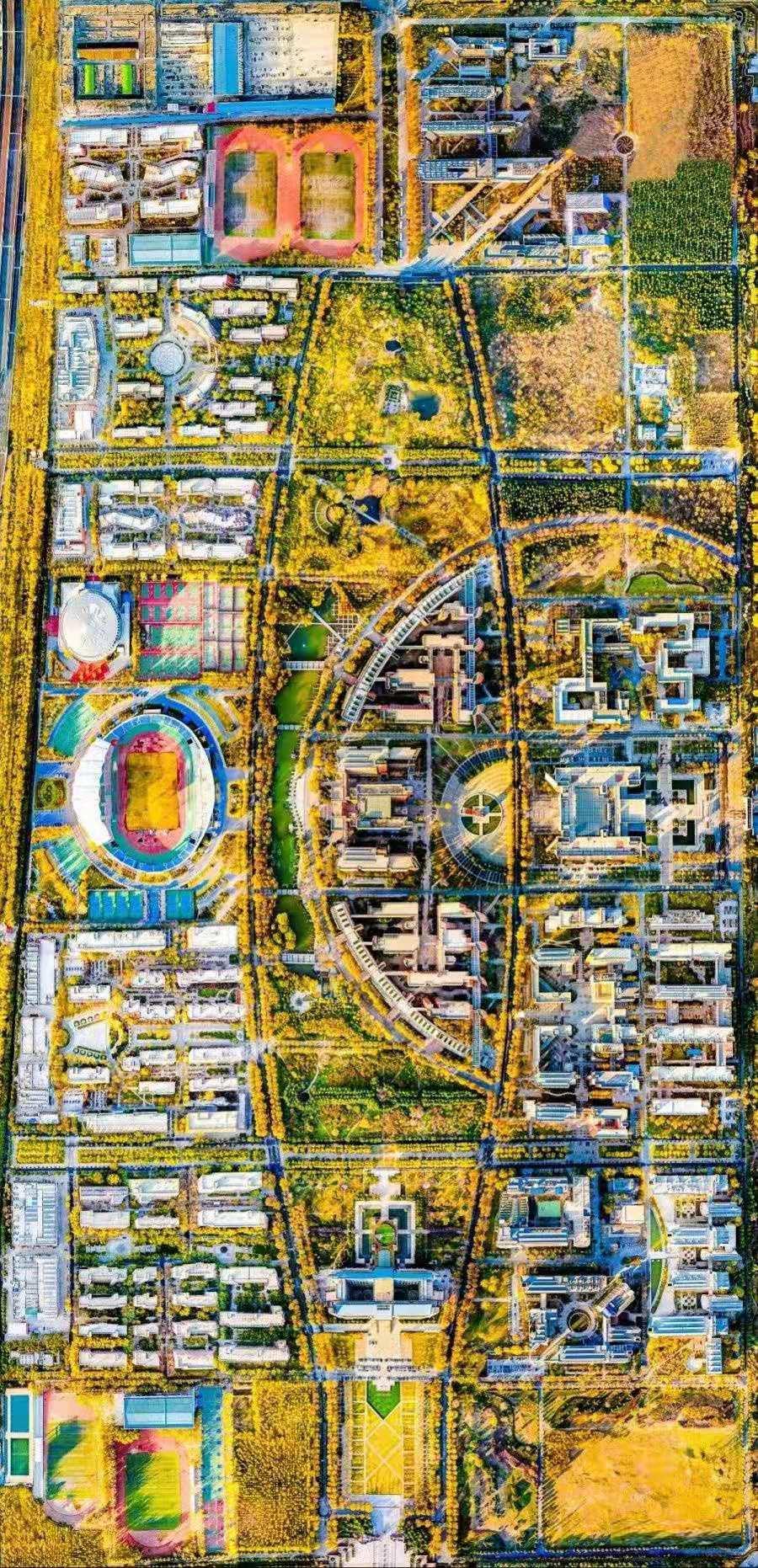 郑州大学的计算机系在哪个院系里,郑州大学化学哪个系好