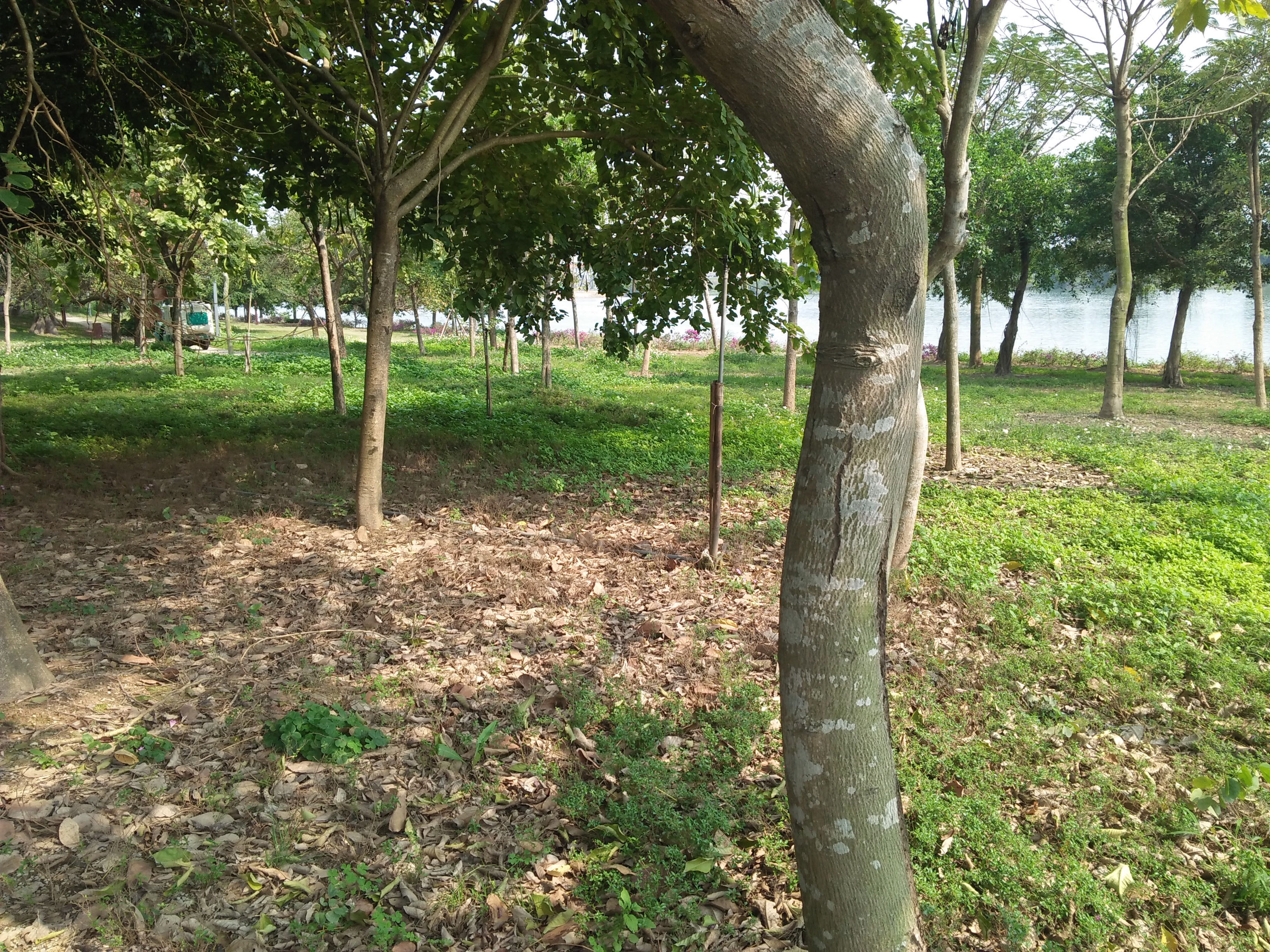 立春散文随笔,立春午后游记