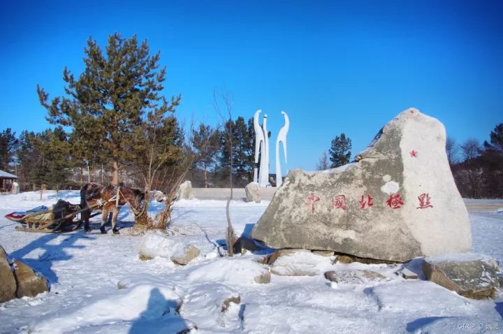 国内这7个绝美雪景地,看到第一个我就想去了!