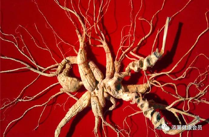 父母总是买保健品怎么办,父母买保健品劝不住怎么办