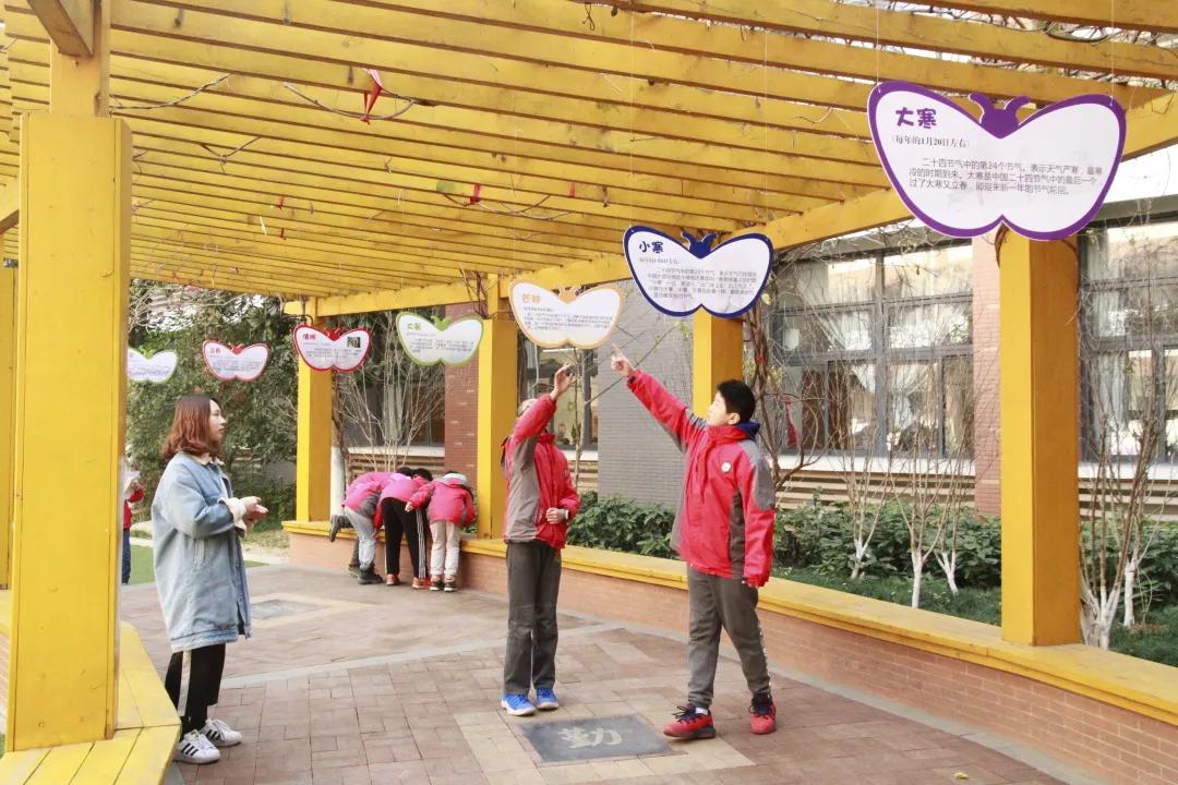 南京市金陵小学南京排名,南京市金陵小学2017