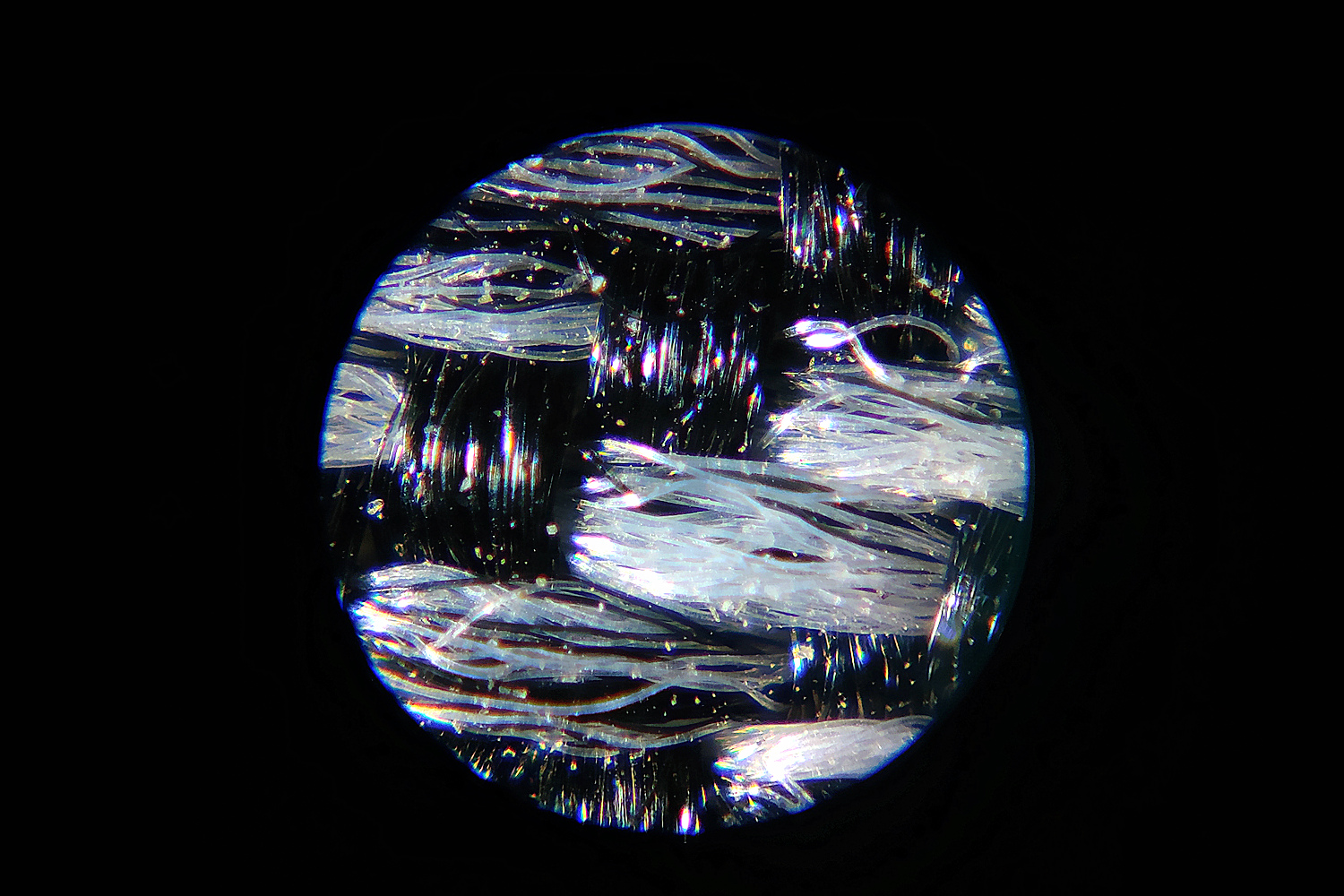 星特朗显微镜型号,星特朗便携式显微镜